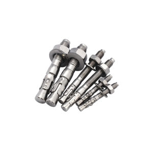 Stainless Steel Concret Wedge Anchor Bolts